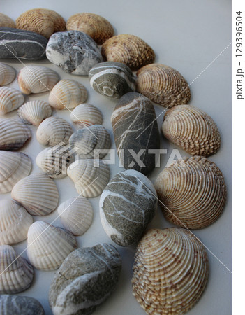 Part Of Round Pattern Of Different Shells And Sea Stones Isolated On White  129396504