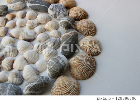 Concept for logotype or titles with round pattern of variety form and size sea shells and smooth pebbles 129396506
