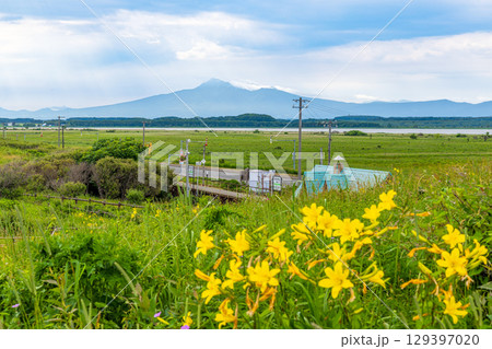 小清水原生花園　(北海道 7月) 129397020