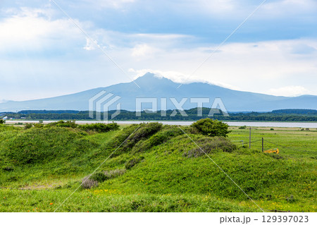小清水原生花園　(北海道 7月) 129397023
