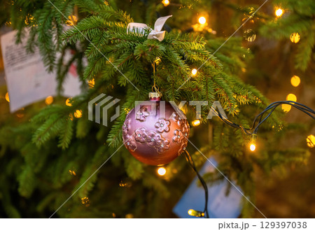 Close-up of Christmas tree branches with pink balls and festive lights Close-up of Christmas tree branches with pink balls and festive lights 129397038