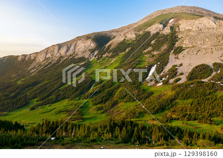 Alpine meadows and forest on mountain slopes in sunset light. 129398160