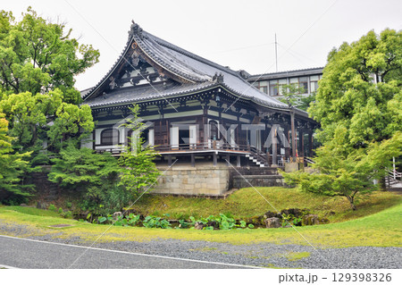 智積院の明王殿と青紅葉 129398326