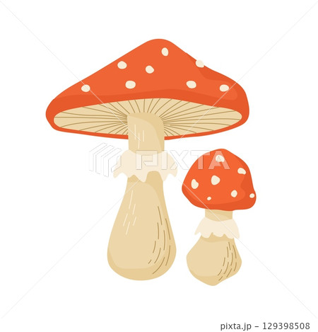 Amanita mushroom vector illustration. Poisonous mushrooms in forest Amanita mushroom vector illustration. Poisonous mushrooms in forest 129398508