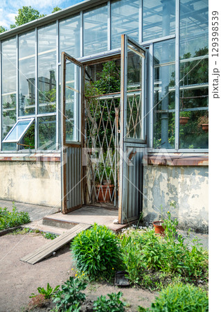 Front view of entrance to the old glass greenhouse with open door. Glasshouse during ventilation.  129398539