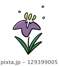 こどもの日菖蒲の花 129399005