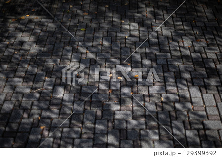 石畳の道と木漏れ日 石畳の道と木漏れ日 129399392