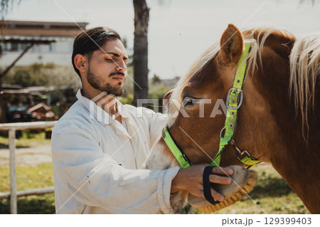 Vetertinarian Carefully Examining The Eyes Of An Horse  129399403