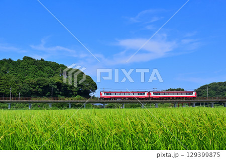 青空と田んぼの中を走る鹿島臨海鉄道6000形気動車 青空と田んぼの中を走る鹿島臨海鉄道6000形気動車 129399875