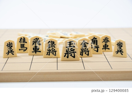 将棋イメージ 129400085