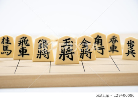 将棋イメージ 129400086
