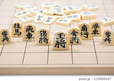 将棋イメージ 129400087