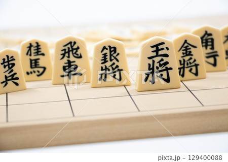 将棋イメージ 129400088