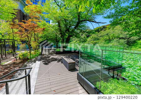 東京 千代田区 九段 九段会館テラス 東京 千代田区 九段 九段会館テラス 129400220