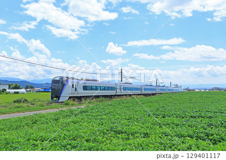 大糸線 夏の特急あずさ 大糸線 夏の特急あずさ 129401117