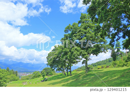 安曇野の田園と夏空 129401215