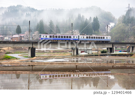 【ほくほく線】早朝の水田に桜と雲海浮かぶ景色を見る列車 129401466
