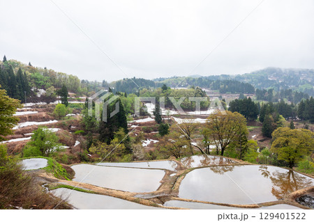 【儀明の棚田】早朝の雪解け棚田 129401522