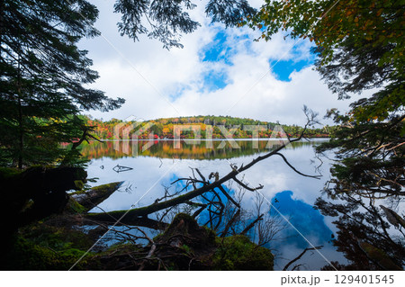 秋の白駒池 129401545