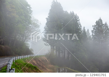 【蒲生の棚田】雲海の出る早朝の棚田と国道 【蒲生の棚田】雲海の出る早朝の棚田と国道 129401701