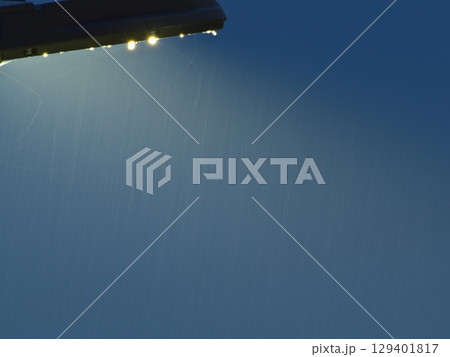 街灯に集まる虫 街灯に集まる虫 129401817