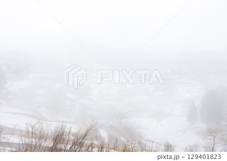 【星峠の棚田】早朝の雲海の発生した棚田 129401823
