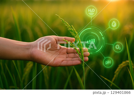 AI generated futuristic rice field with human...のイラスト素材 [129401866] - PIXTA