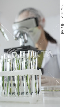 Close up of test tubes with a scientist analyzing plant samples in test tubes with a microscope, conducting research in a laboratory. Medicine, healthcare and science concept Close up of test tubes with a scientist analyzing plant samples in test tubes with a microscope, conducting research in a laboratory. Medicine, healthcare and science concept 129402460