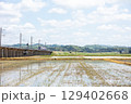 【ほくほく線】水田広がる高架を走行する普通列車 129402668