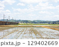 【ほくほく線】水田広がる高架を走行する普通列車 129402669