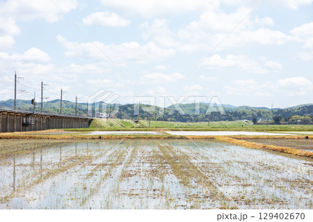【ほくほく線】水田広がる高架を走行する普通列車 129402670