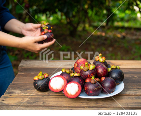AI generated A rustic wooden table overflowing with fresh mangosteens including halved fruits and peeled white segments on a white plate shows mangosteen orchard farmers harvesting agriculture AI generated A rustic wooden table overflowing with fresh mangosteens including halved fruits and peeled white segments on a white plate shows mangosteen orchard farmers harvesting agriculture 129403135