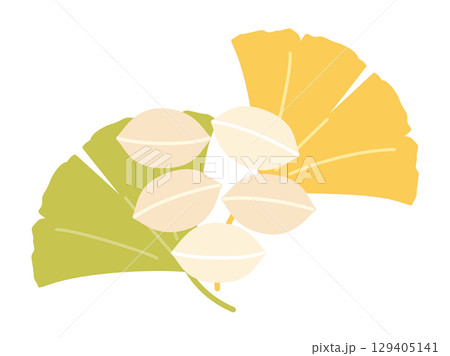 銀杏の葉とぎんなんの実をイメージしたイラスト 129405141