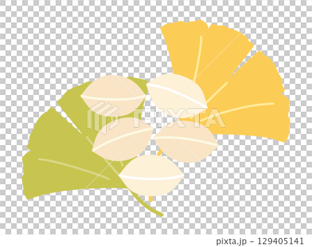 銀杏の葉とぎんなんの実をイメージしたイラスト 129405141