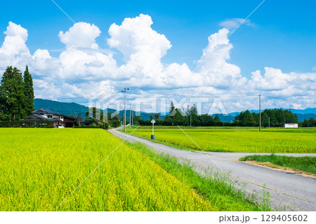 夏の田舎風景 129405602
