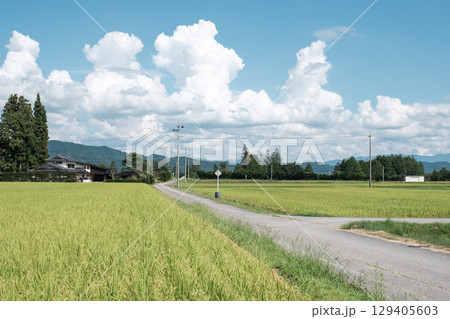 夏の田舎風景 129405603