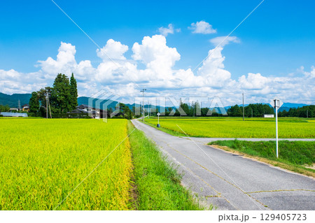 夏の田舎風景 夏の田舎風景 129405723