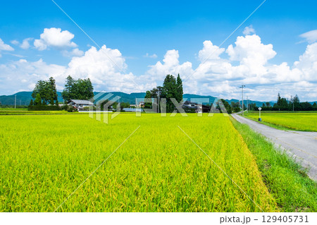 夏の田舎風景 夏の田舎風景 129405731