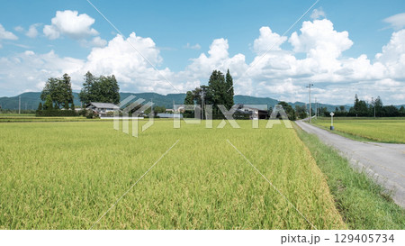 夏の田舎風景 129405734