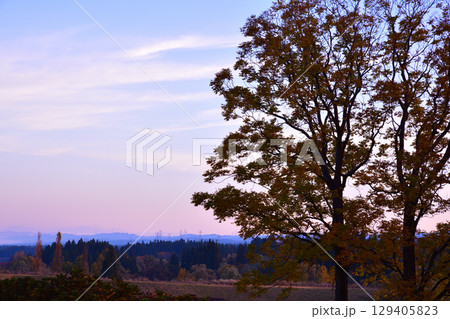 朝焼けの高原風景　新潟県　当間高原 129405823