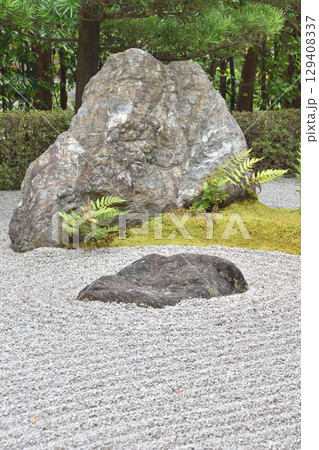 退蔵院の陽の庭 129408337