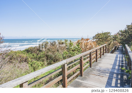 茨城　大竹海岸（鉾田市） 129408826