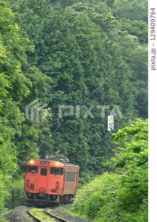 夏の山口線 夏の山口線 129409764