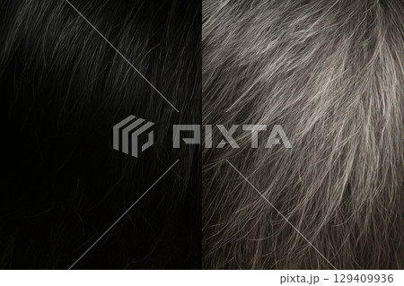 Detailed close up of natural black hair and gray hair texture side by side 129409936