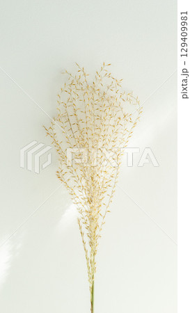 縦　シンプル秋冬ナチュラル背景写真の素材　暖かい木漏れ日　おしゃれモダン 129409981