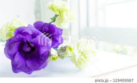 お供え 紫の花トルコ桔梗と黄色いカーネーション写真画像 明るい窓際 きれいなお供え仏花 お供え 紫の花トルコ桔梗と黄色いカーネーション写真画像 明るい窓際 きれいなお供え仏花 129409987