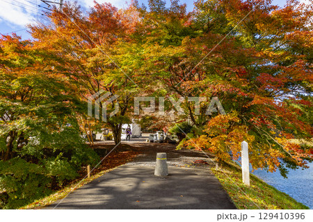 もみじ寺　茨城県 129410396