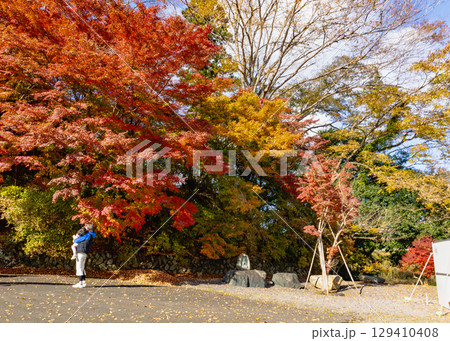 もみじ寺　茨城県 129410408