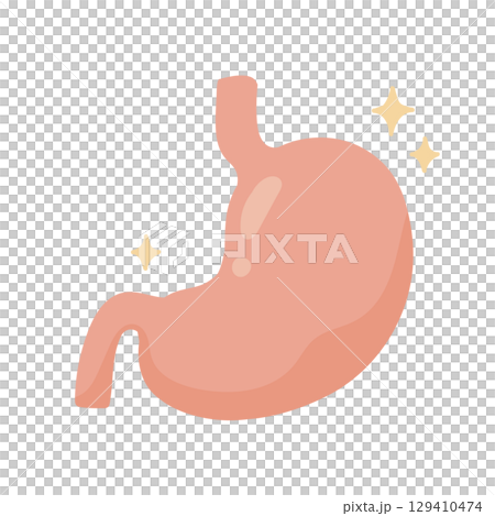 可愛的手繪插圖，描繪了一個健康、充滿活力的胃——明亮、乾淨的設計，有助於消化 129410474
