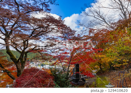 もみじ寺　茨城県 129410620